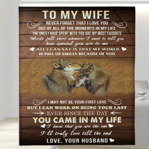 You Came In My Life To My Wife Blanket, Personalized Gift For Wife